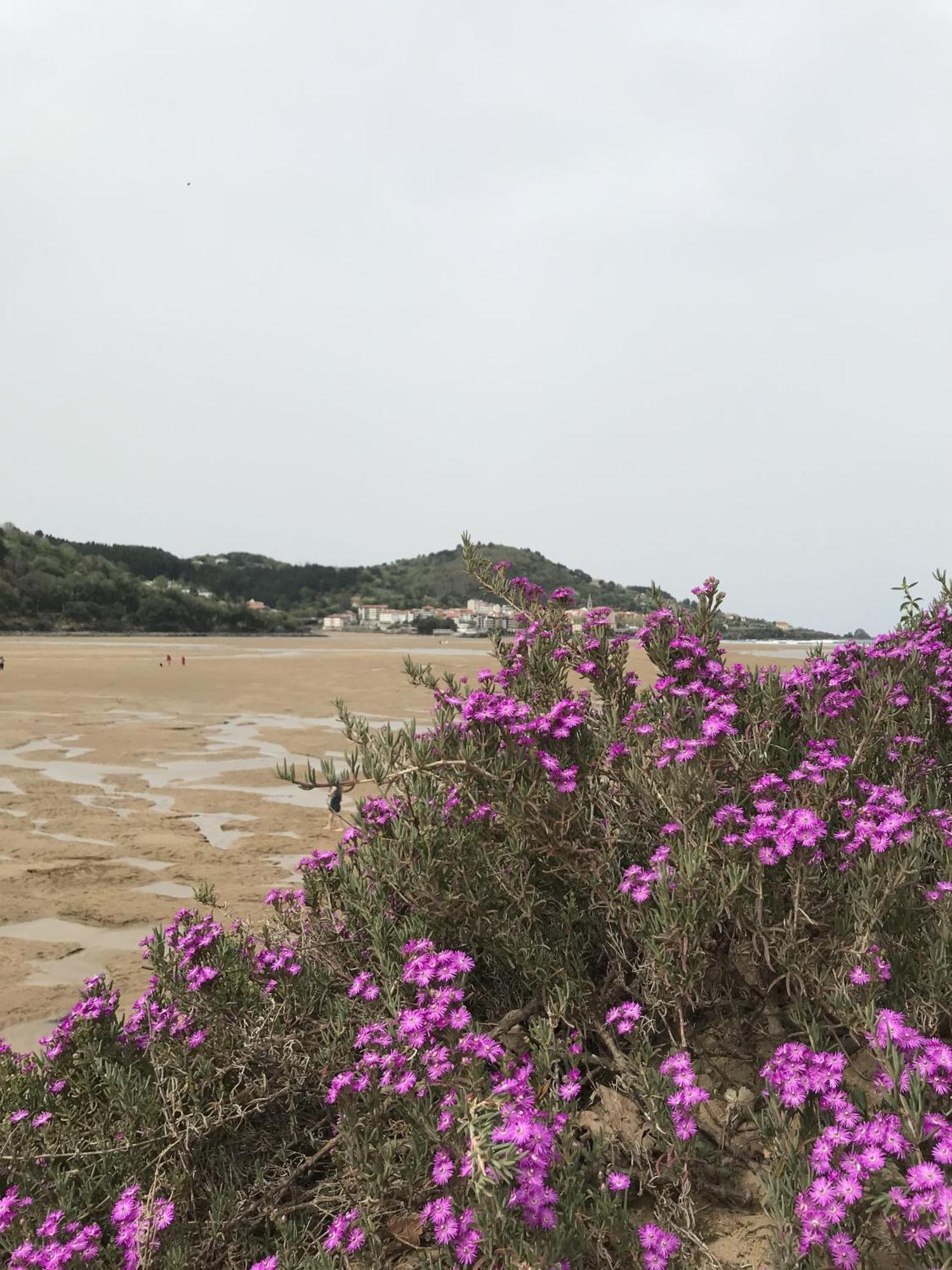 Maison Laida إيبارانغويلا المظهر الخارجي الصورة